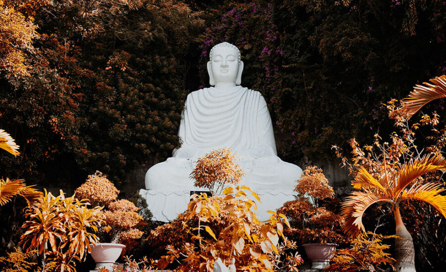 Buddhist Monk Preach